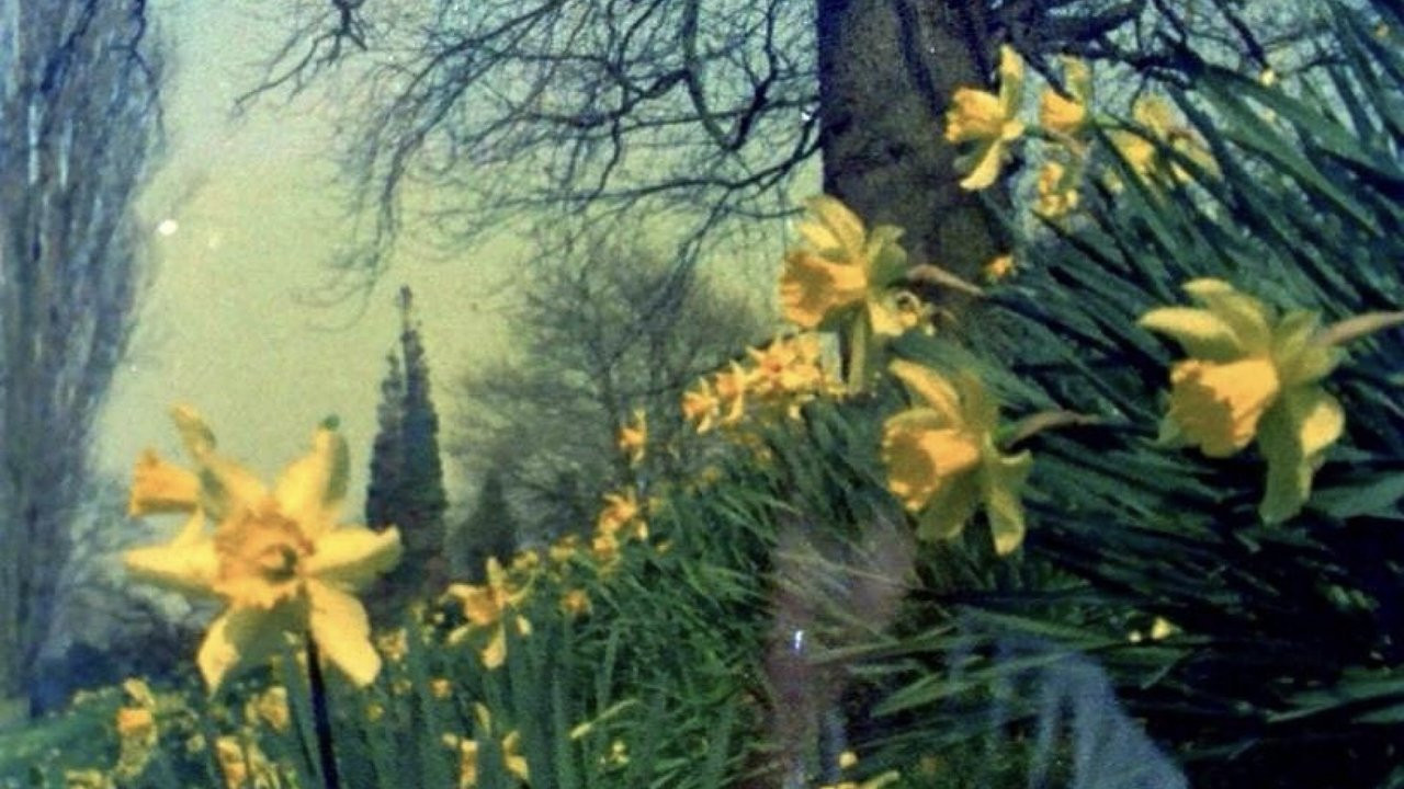 Extracts (2019) Movie Flixi