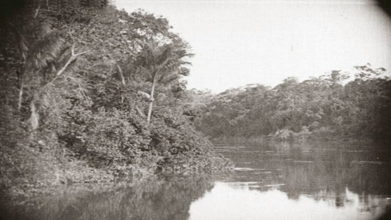 Amazon Longest River in the World (1918) Movie Flixi