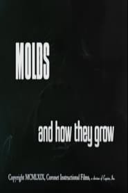 Molds and How They Grow