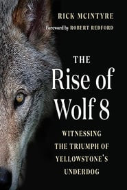 The Alpha Wolves of Yellowstone