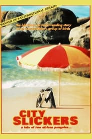 City Slickers: A tale of two African penguins