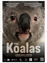 The Koalas