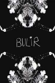 BULIR