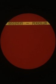 The Discovery of Penicillin