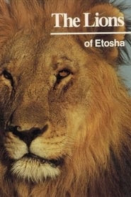 The Lions of Etosha