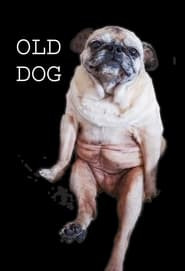 Old Dog