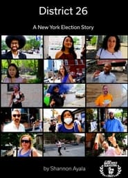 District 26: A New York Election Story