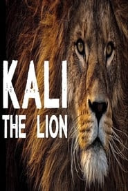 Kali the Lion