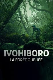 Ivohiboro, la forêt oubliée