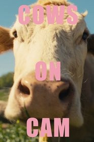 COWS ON CAM