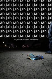 Juin ou  (Les chats ne payent pas de taxes)