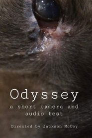 Odyssey - a camera and audio test