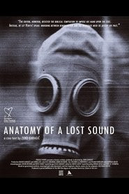 Anatomy of a Lost Sound