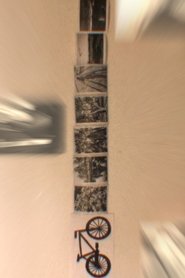 Biking And Its New Resemblance