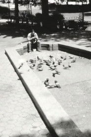 Angels Watching Over Me