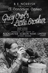 Grey Owl's Little Brother