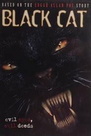 Black Cat