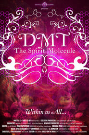 DMT: The Spirit Molecule