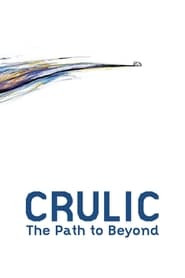 Crulic: The Path to Beyond