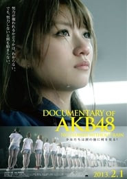 Documentary of AKB48 No Flower Without Rain