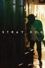 Stray Dog