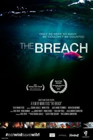 The Breach