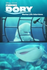 Marine Life Interviews