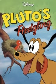 Pluto's Fledgling