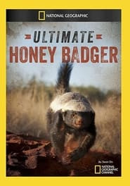 Ultimate Honey Badger