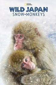 Wild Japan: Snow Monkeys