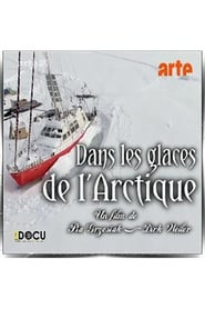 Dans les Glaces de l’Arctique