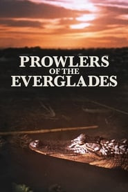 Prowlers of the Everglades