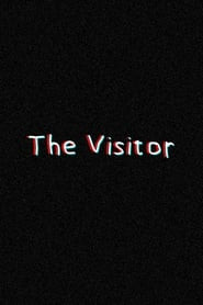 The Visitor