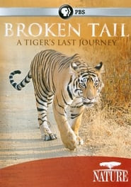 Nature: Broken Tail A Tiger's Last Journey