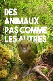 Des animaux pas comme les autres