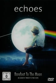 Echoes Barefoot To The Moon An Acoustic Tribute To Pink Floyd