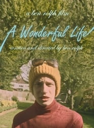 A Wonderful Life