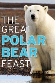 The Great Polar Bear Feast