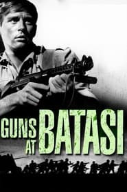 Guns at Batasi