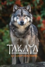 Takaya, le loup solitaire