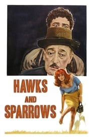 Hawks and Sparrows