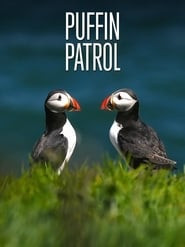 Puffin Patrol