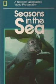 Seasons in the Sea