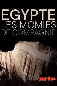 Égypte : les momies de compagnie