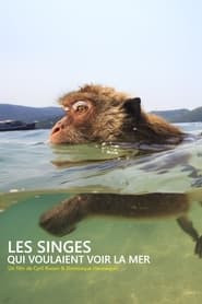 Les singes qui voulaient voir la mer