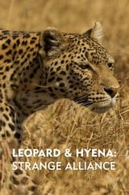 Leopard & Hyena: Strange Alliance