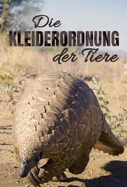 Die Kleiderordnung der Tiere - Wer trägt was und warum