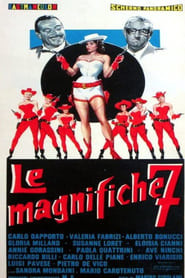 Le magnifiche 7