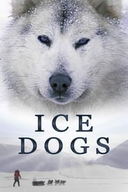 Ice Dogs: The Only Companions Worth Having