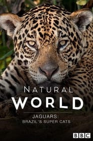 Jaguars: Brazil's Super Cats